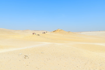 Fototapeta na wymiar Le désert égyptien sous un ciel bleu