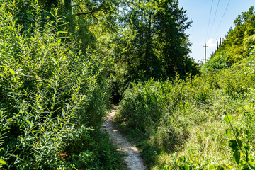 Vista lungo il sentiero 168 Gola di Jana da Braccano