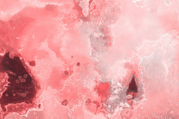 Hand painted alcohol ink background. Abstract red blood texture. Contemporary feminine wallpaper. 