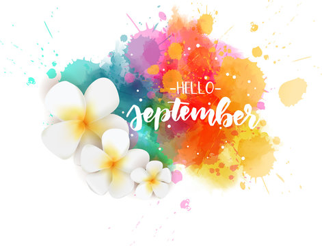 Hello September - floral concept background