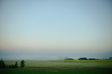 Fototapeta na wymiar Amanecer sobre la carretera reina Isabel en Edmonton Alberta Canadá, con una neblina inmensa, tonos fríos, sobre un campo verde, en una zona rural