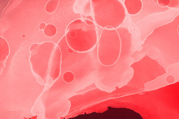Hand painted alcohol ink background. Abstract red blood texture. Contemporary feminine wallpaper. 