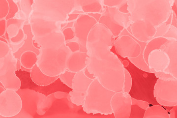 Hand painted alcohol ink background. Abstract red blood texture. Contemporary feminine wallpaper. 