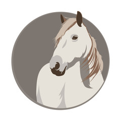 White horse in a circle. Horse logo. Vector illustration of horse.