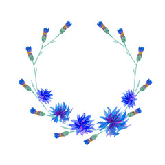 Framework of watercolor blue cornflowers