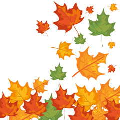 autumn branch and dry maple leafs frame