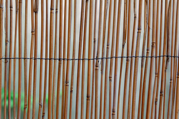 abstract background with stripes