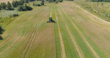Combine harvester at work harvesting field wheat. Aerial view Combine harvester mows ripe spikelets, barley, rye. Combine harvester harvest ripe wheat on a farm.