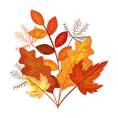 autumn branch and dry maple leafs decoration