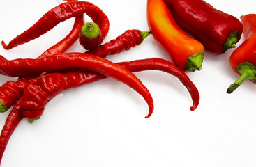 Red hot pepper on white background.