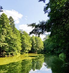 Obraz premium jezioro w lesie