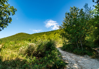 Obraz premium Vista lungo il sentiero 168 Gola di Jana da Braccano