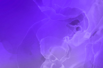 Hand painted alcohol ink background. Abstract delicate violet texture. Contemporary feminine wallpaper. 