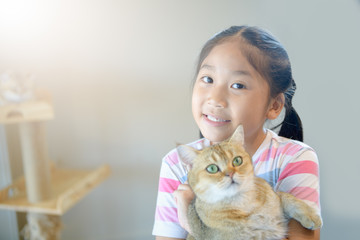 Cute girl hug and play scottish fold cat