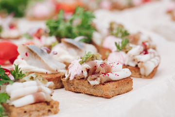 Appetizing sandwich with bacon decorating greenery serving on plate ready for eating close-up. Amazing beautiful food grilled bread with meat and fish preparing for event