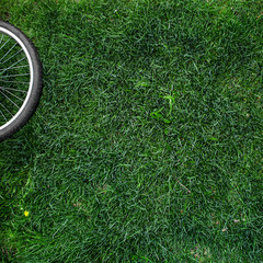 Bicycle wheel on green grass on meadow
