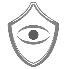 Information Security Icon Collection - shield eye. Vector icons.