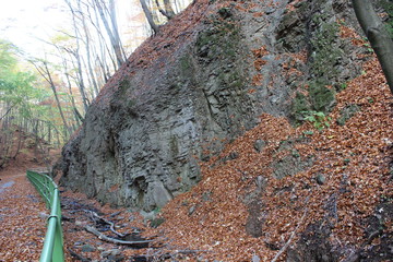 Rocks in the forest