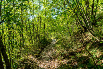 Sentiero 168 gola di jana a Braccano nelle Marche