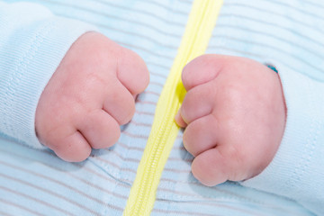 Baby boy’s hands (two months old)