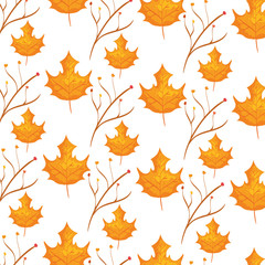 autumn branch and dry maple leafs pattern