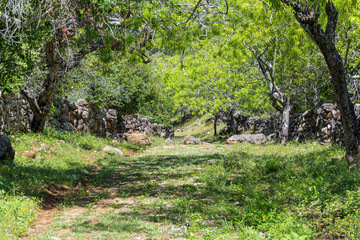 Camino Real, Barichara