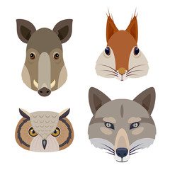 Fototapeta premium Woodland animal heads icons set. Flat vector illustration including squirrel, owl, pig and wolf