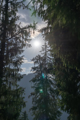 Jibhi Landscape and beauty of himachal