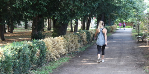 Camminare serenamente nel parco in estate - relax