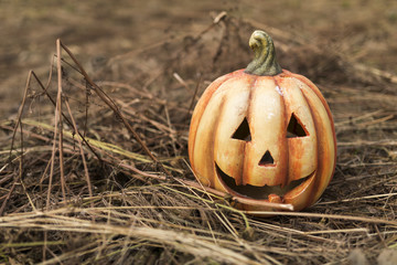 Carved out pumpkin on dried leaves and sticks - obrazy, fototapety, plakaty