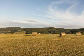 Fototapeta premium Autumn concept with big rolls of hays