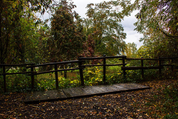 wooden bridge road into autumn rainy day park 