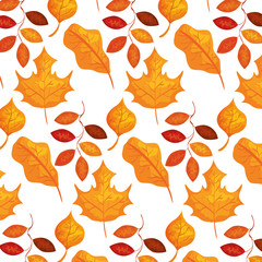 autumn branch and dry maple leafs pattern