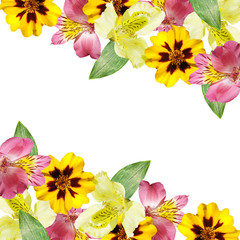 Beautiful floral background of alstroemeria and marigolds. Isolated