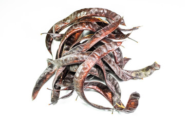 Gleditsia triacantnos, pods on white background