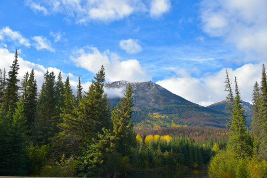 Vista de una monta&ntilde;a en medio de un bosque de pinos verdes y vegetaci&oacute;n amarilla, bajo un cielo azul y nubes grises en el parque nacional de Jasper en Alberta Canad&aacute;