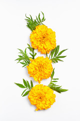fall composition. orange flowers on white background. flat lay, vertical frame