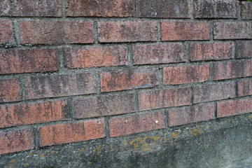 バス通りのレンガの壁
