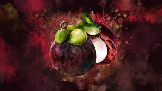 The appearance of the mangosteen on a watercolor background.