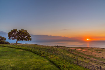 Fototapeta na wymiar Orange sunset over ocean by field with koa tree and mountains