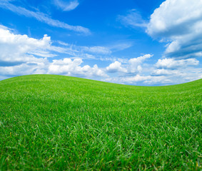 Green field and meadows against the blue sky with white clouds.