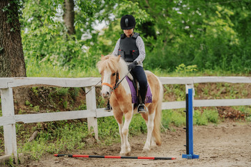 Young playful Caucasian girl with helmet and protective vest on riding adorable pony horse at...