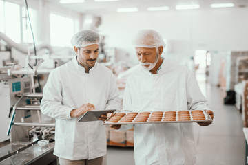 Senior adult employee holding tray with fresh cookies while supervisor evaluating quality and...