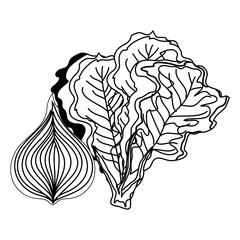 fresh onion and lettuce vegetables nature icons