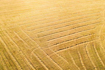 Aerial view of agricultural fields