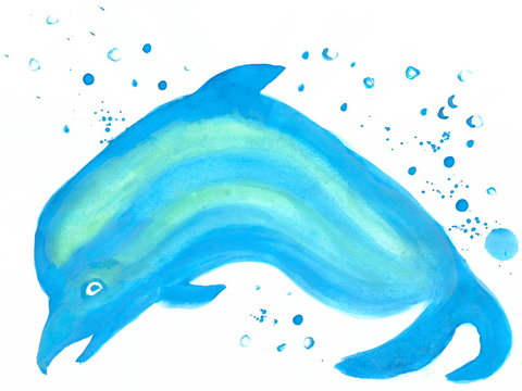 Drawing with watercolors: Dolphin close-up.