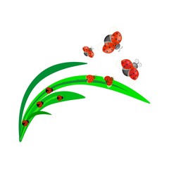 Ladybirds on leaf card. Illustration ladybug. Cute colorful sign red insect symbol spring, summer, garden. Template for t shirt, apparel, card, poster, etc. Design element Vector illustration.