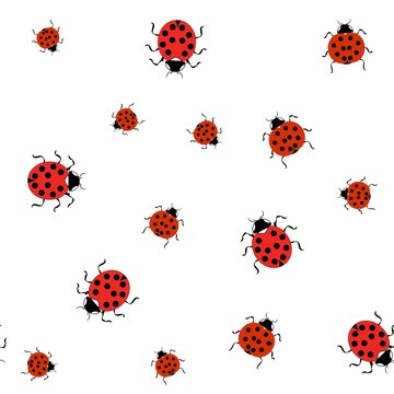 Ladybird color seamless pattern. Fashion graphic background design. Modern stylish abstract texture. Colorful template for prints, textiles, wrapping, wallpaper, website, etc. Vector illustration.