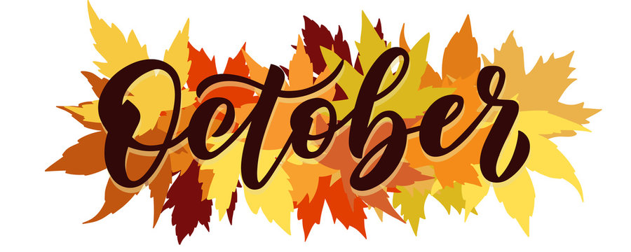 October, vector script with decorative maple leaves elements. Hand drawn brush lettering for autumn events, posters, and banners.
