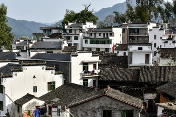 Spring, a village with flowers blooming